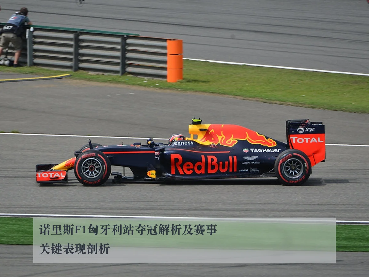 诺里斯F1匈牙利站夺冠解析及赛事关键表现剖析